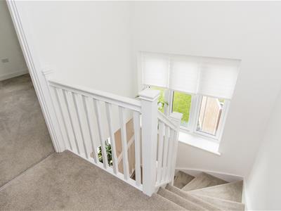 Picture 10